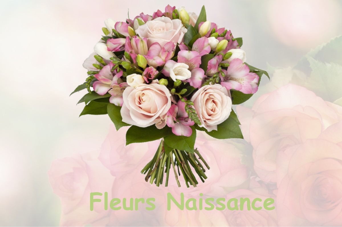 fleurs naissance BEZAUDUN-LES-ALPES