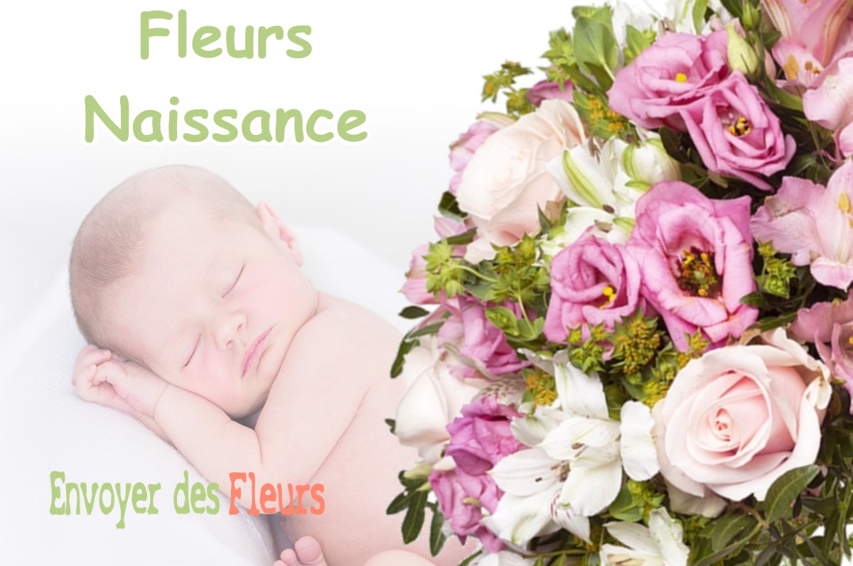 lIVRAISON FLEURS NAISSANCE à BEZAUDUN-LES-ALPES