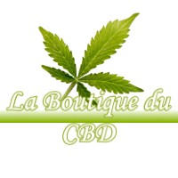 LA BOUTIQUE DU CBD BEZAUDUN-LES-ALPES 